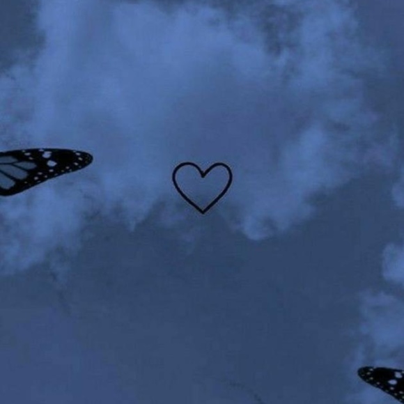 Meet your Posher, Aaleyah - Picture 1 of 1